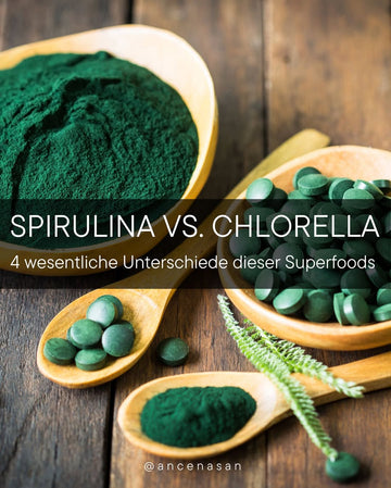 Spirulina vs. Chlorella: 4 wesentliche Unterschiededieser Superfoods