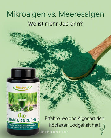 Mikroalgen vs. Meeresalgen: Wo ist mehr Jod drin?