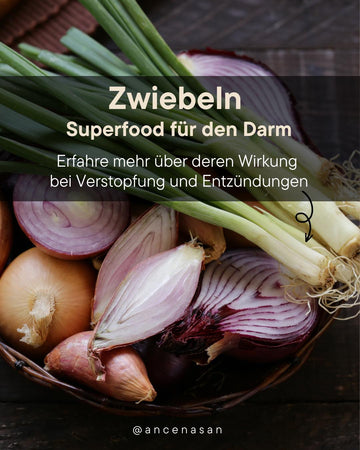 Zwiebeln - Superfood für den Darm