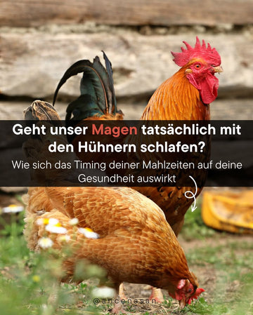 Gehr unser Magen tatsächlich mit den Hühnern schlafen?