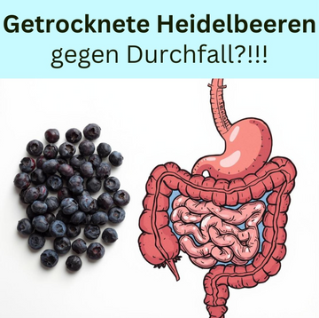 Warum wirken getrocknete Heidelbeeren gegen Durchfall? 💩