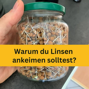 Warum solltest du Linsen unbedingt ankeimen?