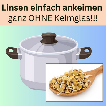 Linsen ankeimen ohne Keimglas – so einfach geht’s! 🌱