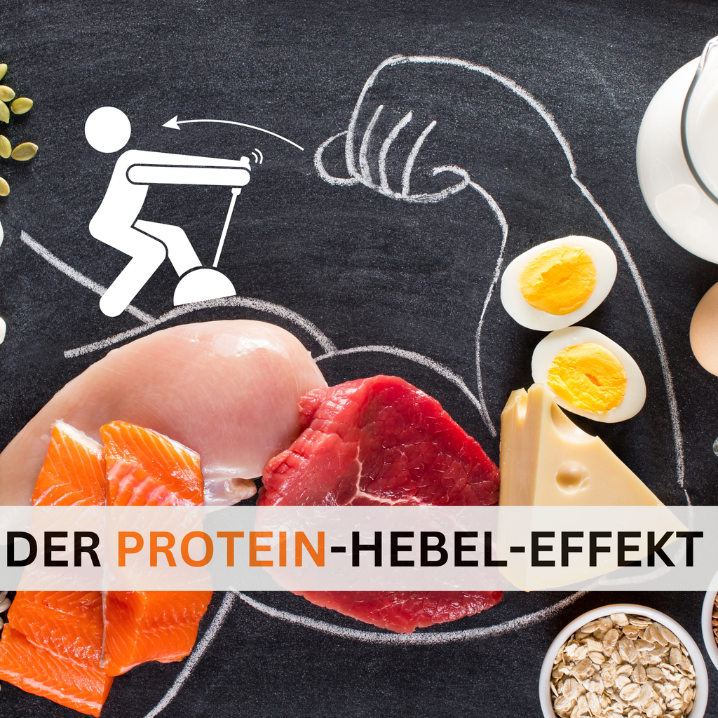 Der Protein-Hebel-Effekt: Warum wir oft mehr essen, als wir sollten! 🧬