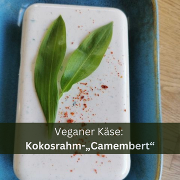 Veganer Kokosrahm-„Camembert“ 🥥🌿