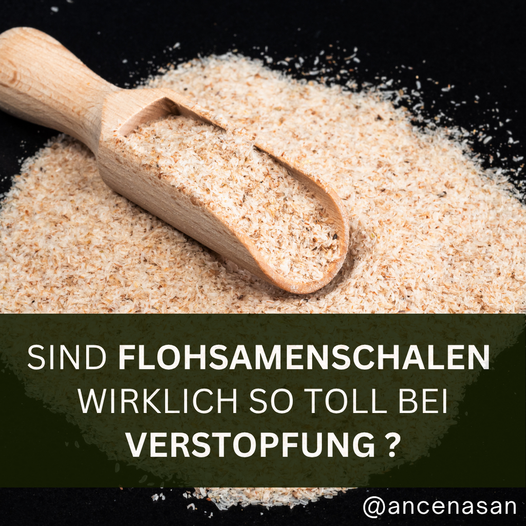 Sind Flohsamenschalen wirklich so toll bei Verstopfung? 🤔💭