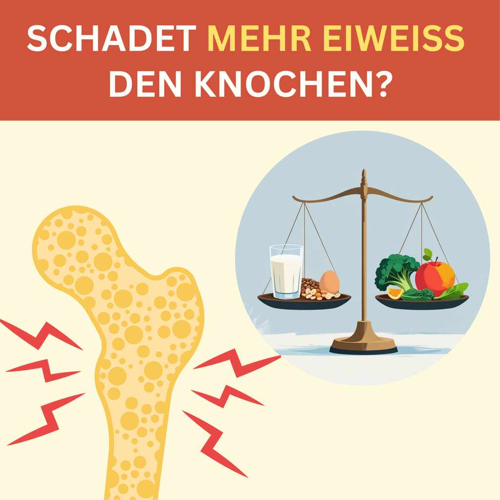 Schadet mehr Eiweiß den Knochen? 🤔🦴