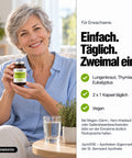 ApoVERE BRONCHIVERE KOMPLEX – für Erwachsene, zweimal täglich eine Kapsel