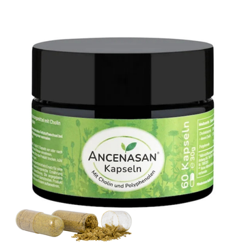 ANCENASAN® capsules with choline