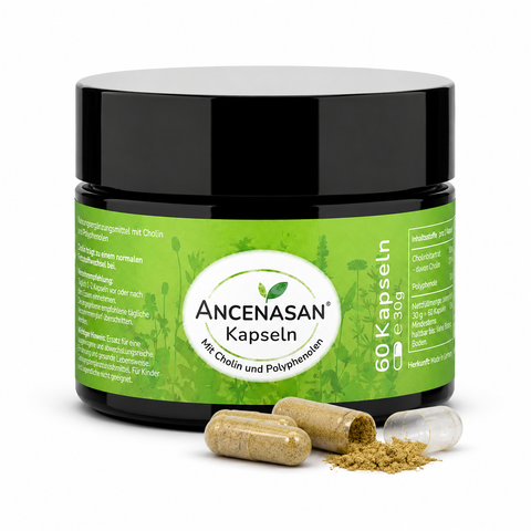 Kapseln mit Cholin von ANCENASAN®