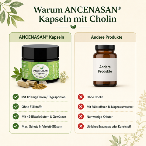 Kapseln mit Cholin von ANCENASAN®