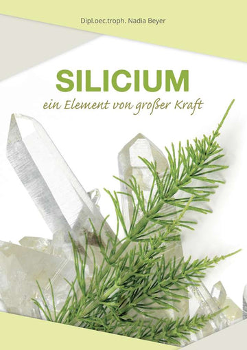 Silicium - Ein Element von großer Kraft